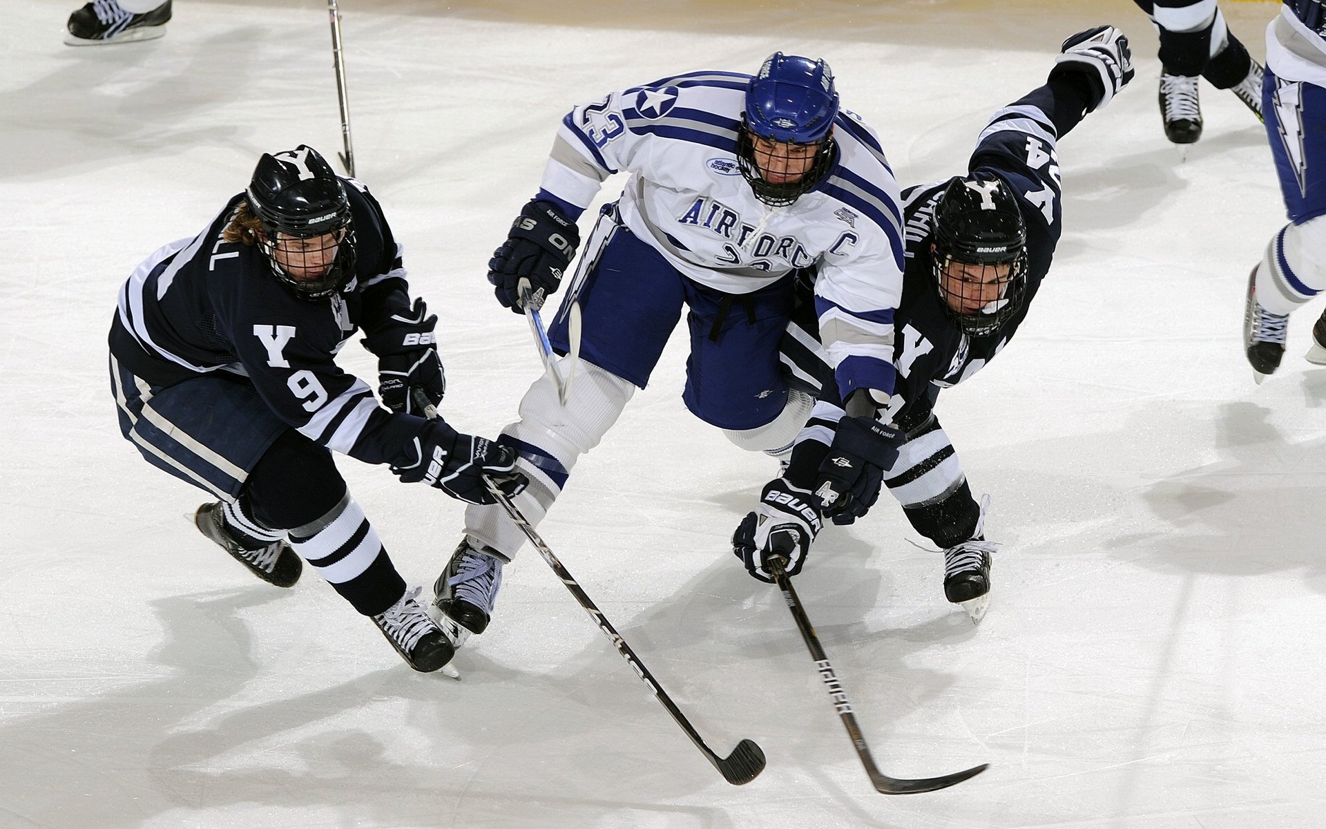 疫情后NBA的复苏：比赛观众逐渐恢复，疫情过后nba什么时候才开始